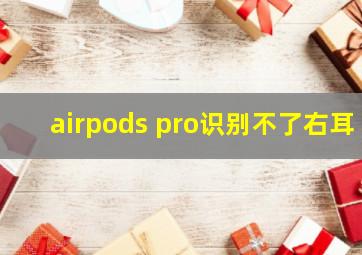 airpods pro识别不了右耳